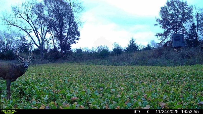 016578004309230-36-3-11242025175042-HD-SYFW00101