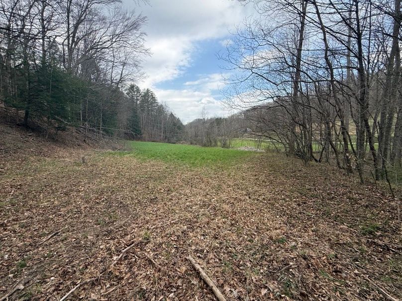 008 the smaller field across the creek