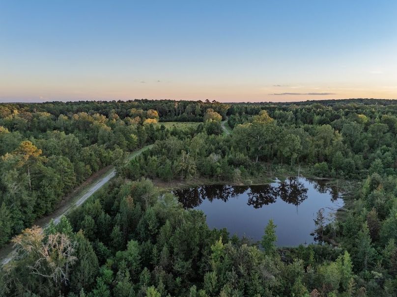 12 Edited Harison co. 206 - Ed Robb-039