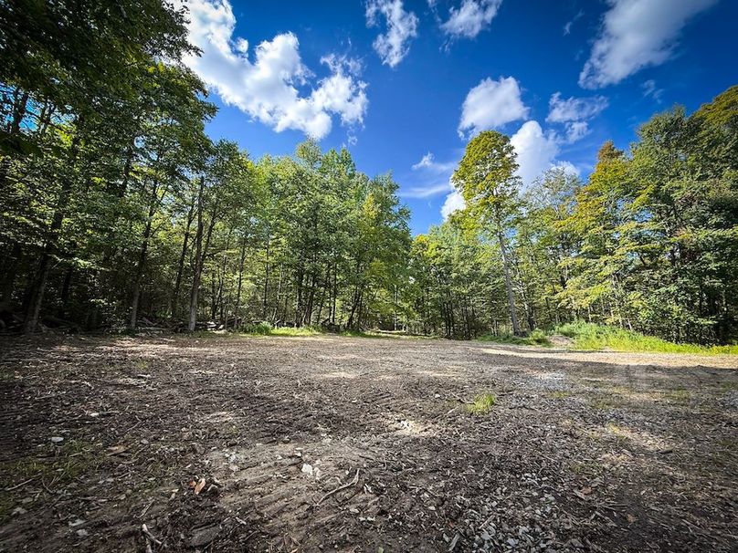 Tompkins_103.12_SusquehannaLandCo_Photos_4