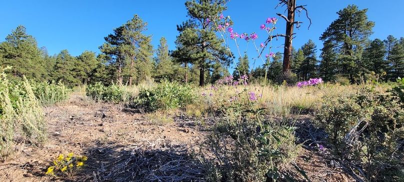 Copy of 20210827_081020