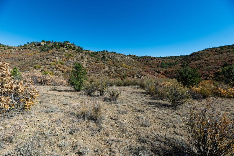 Building Or Recreational Tract Next To BLM In Primero Ranch Whitetail