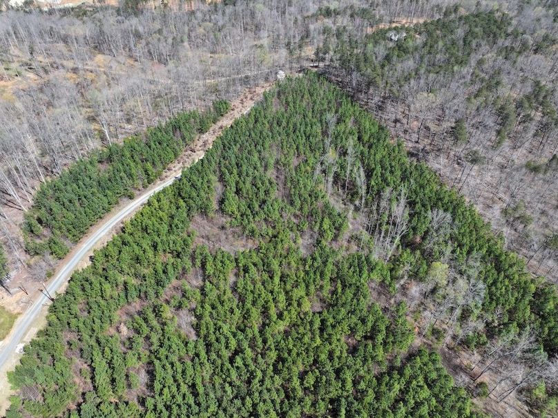 dji_fly_20260325_115256_0640_1774539307778_photo