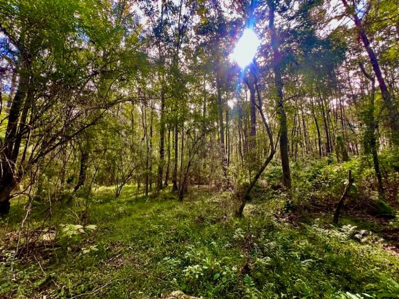 6B03475E-90BB-47A4-B614-ECE620602BBB_1_105_c