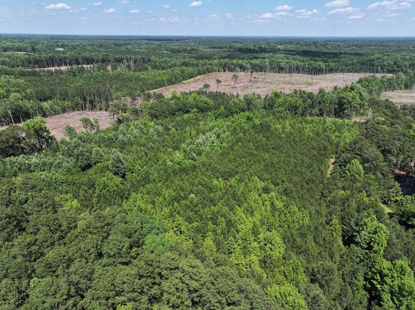 DJI_20240523150640_0033_D