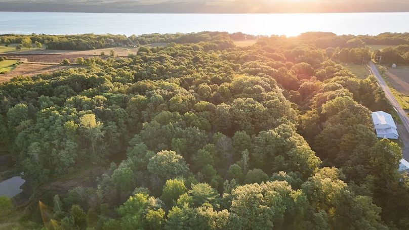 Seneca_65_Engels Photo 54