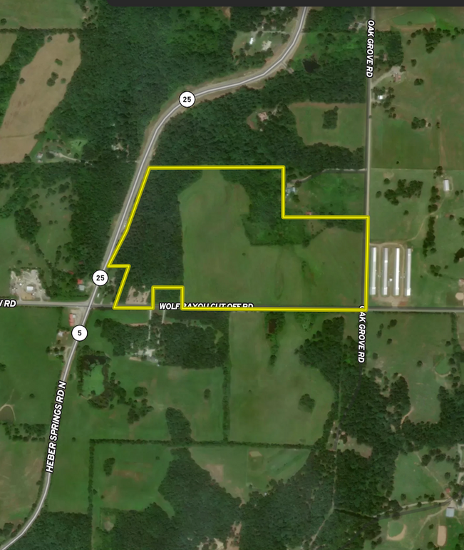 Screenshot 2025-07-30 at 12.04.39 PM