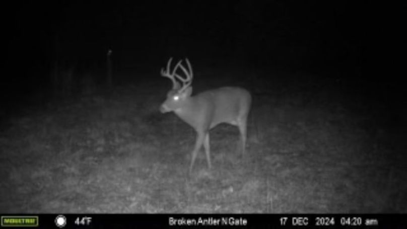 Benton 133.5 Trail Cam-05