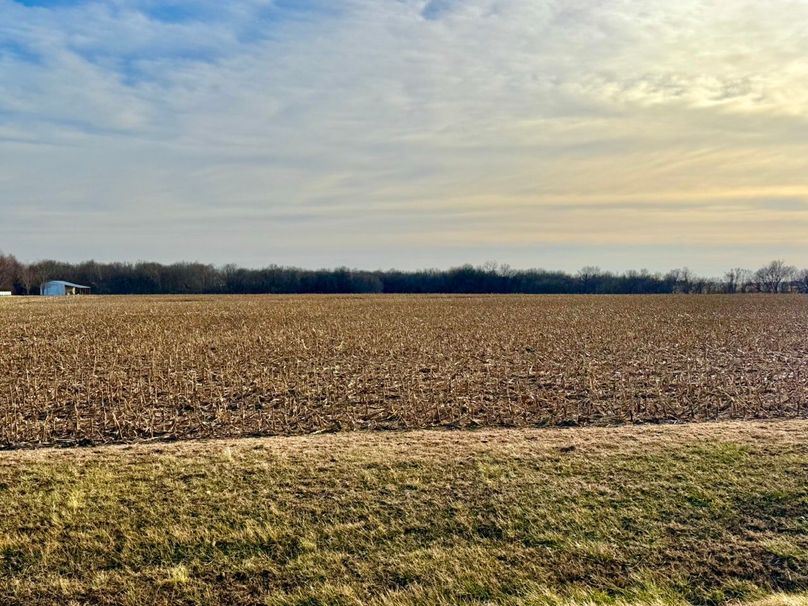 Copy of IMG_7191 Large