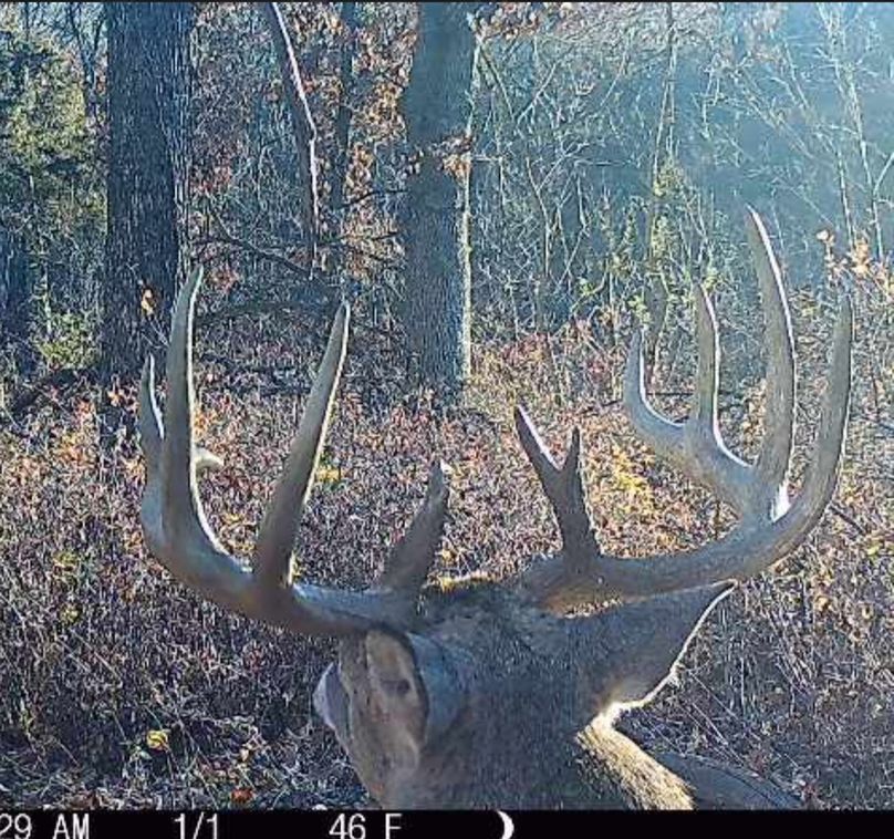 Turnkey Trophy Hunting Farm With In Eastern Iowa Whitetail