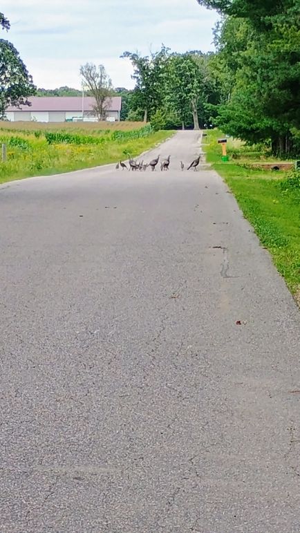 IMG_20250824_182749436_AE