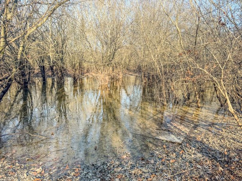 St. Francis 216.9 Calvin Parker Farms Profile -37