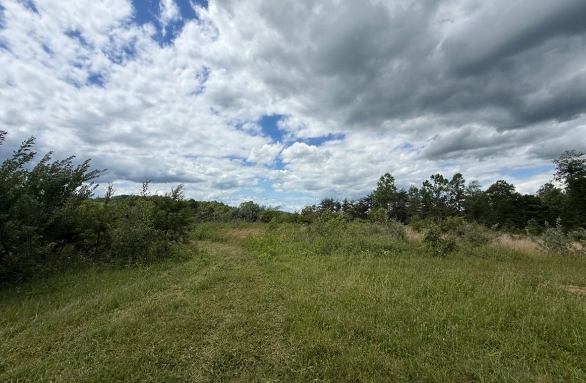 004 some of the open building areas in the north area of the property