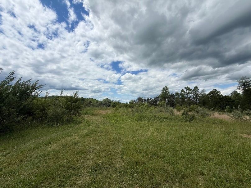 004 some of the open building areas in the north area of the property