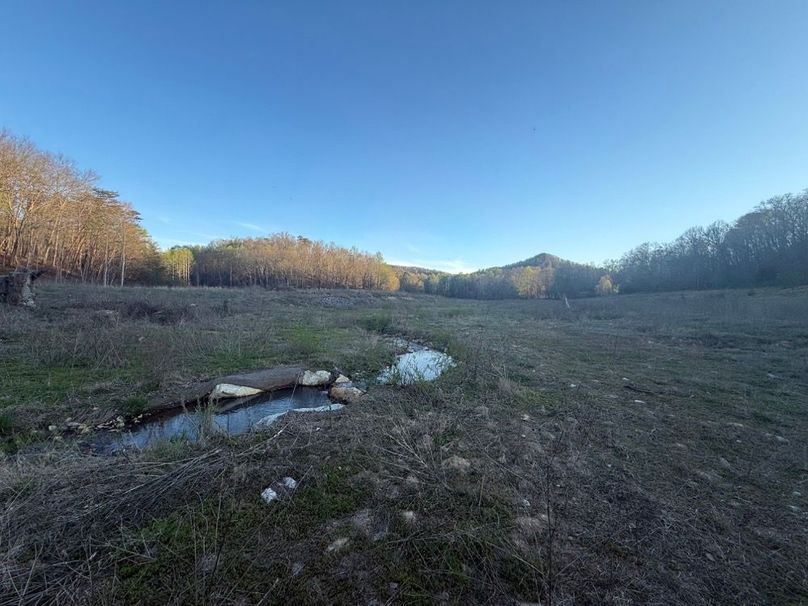 011 the main stream in the north part of the property