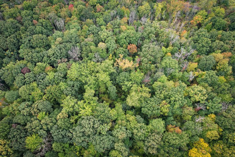 Ontario_16.2_Eddington Photo 9