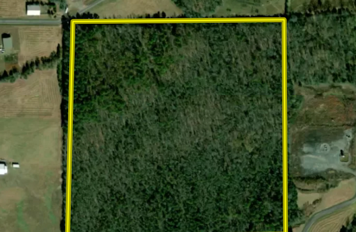 Screenshot 2025-04-01 at 1.11.48 PM