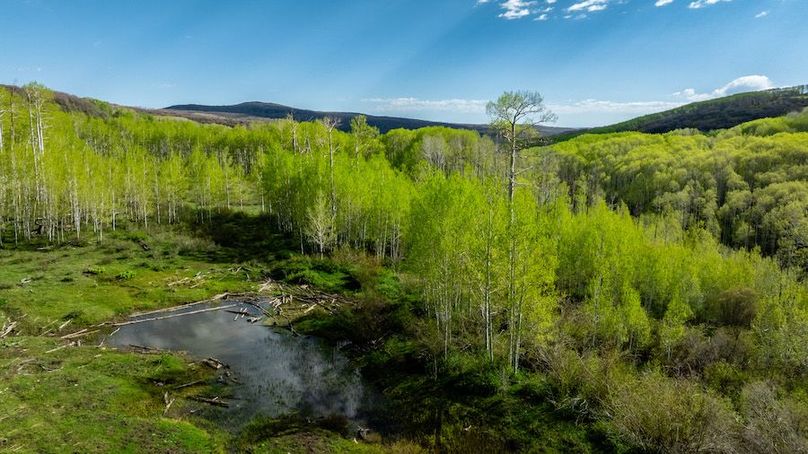 DJI_0597-HDR