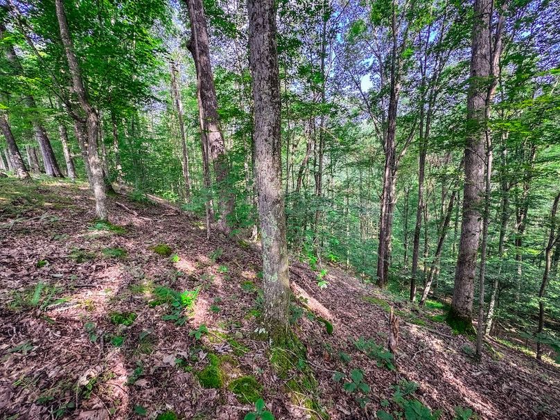 Lewis, WV 105 AC Miller-57