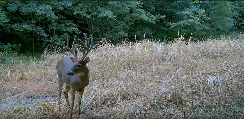 Screenshot 2025-09-24 at 3.08.36 PM