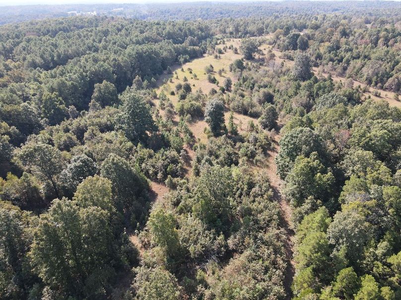 dji_fly_20250902_095438_724_1756824956625_photo