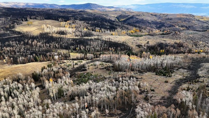 DJI_20250927093411_0221_D