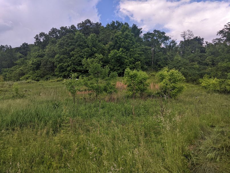 PXL_20230530_213627460