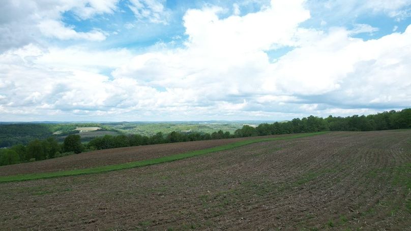 dji_fly_20250515_125704_223_1747328919551_photo