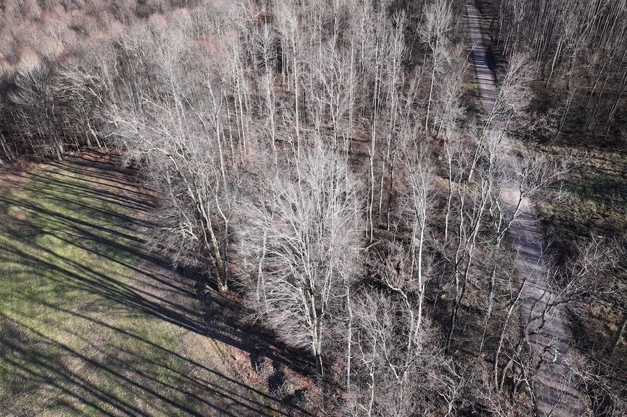 DJI_20241127033423_0736_D