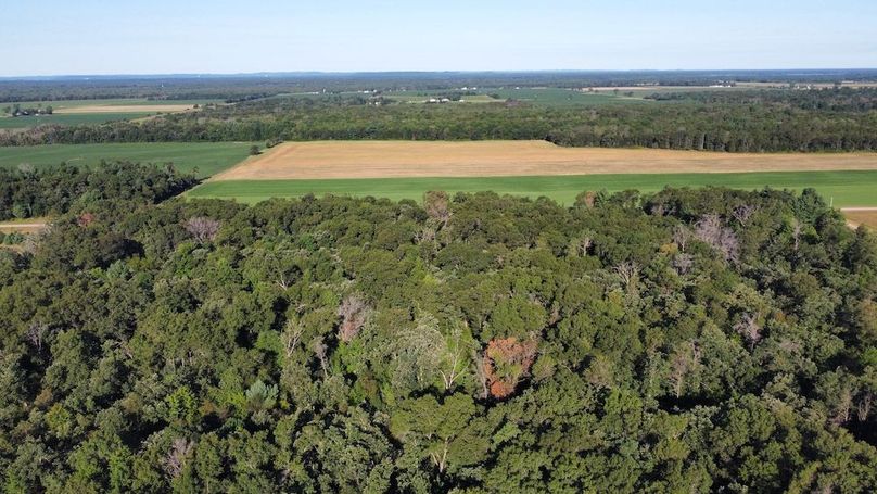 dji_fly_20240810_081810_314_1724082420089_photo_optimized