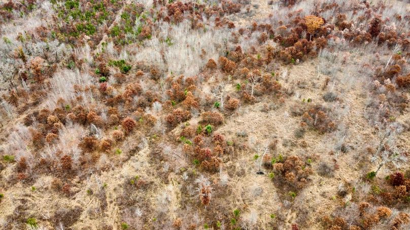 dji_fly_20231105_092646_750_1699198352735_photo_optimized 2