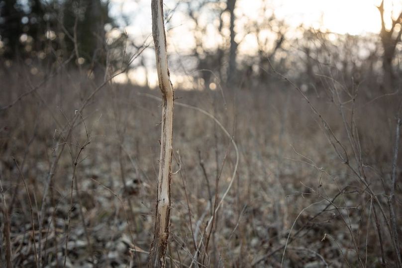 MONTGOMERY CO IA 156.78_46