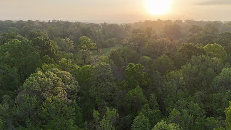 Claiborne Co-314-Fernandez-95