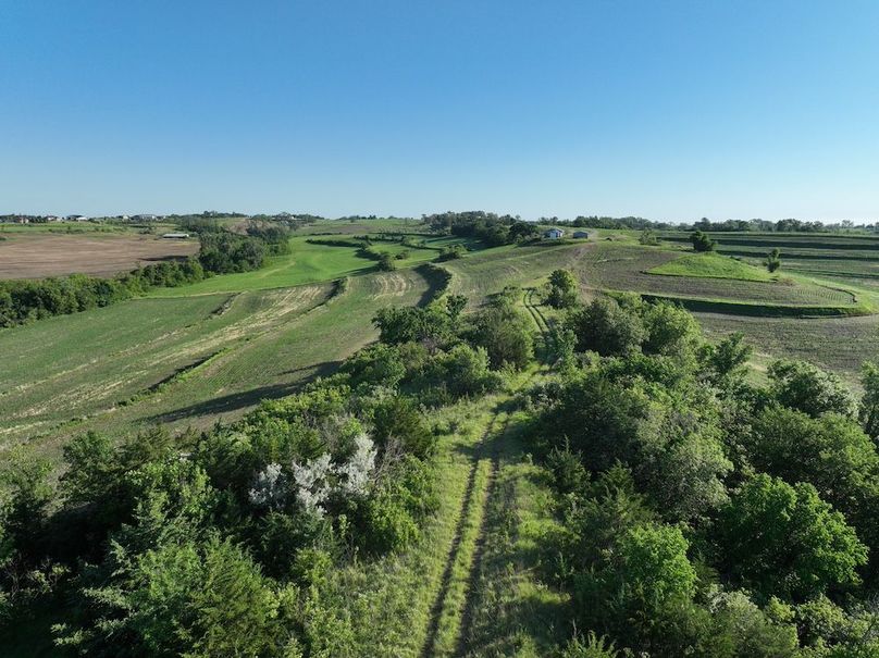 dji_fly_20260601_080540_536_1780319486861_photo