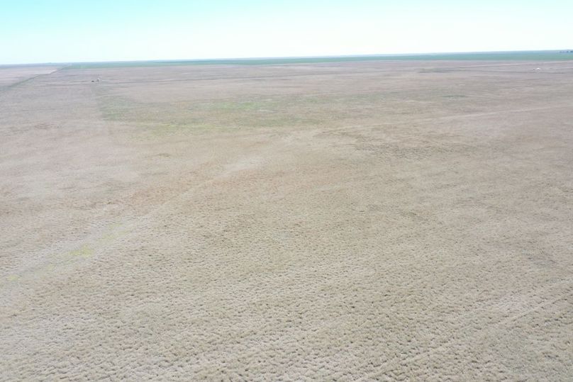 DJI_0676
