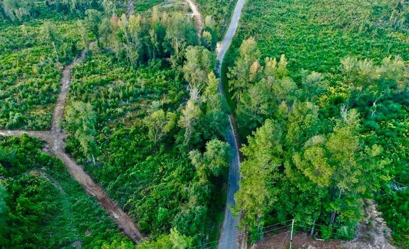 EEB2B000-A5AD-48A3-9DCA-C2029157F865_1_105_c