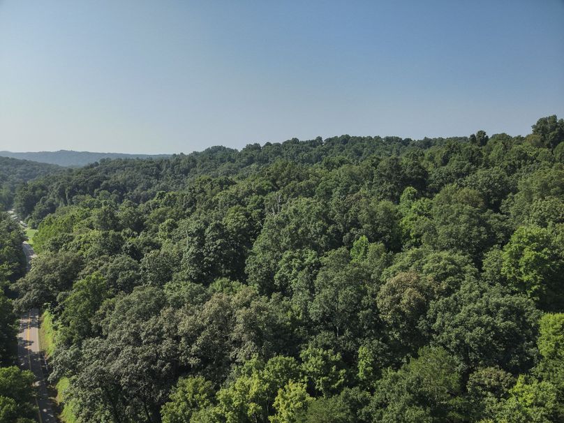 10. Tree Line (18acres)