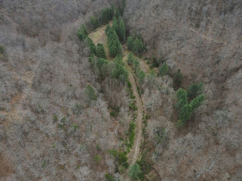 024 aerial drone shot of the hollow