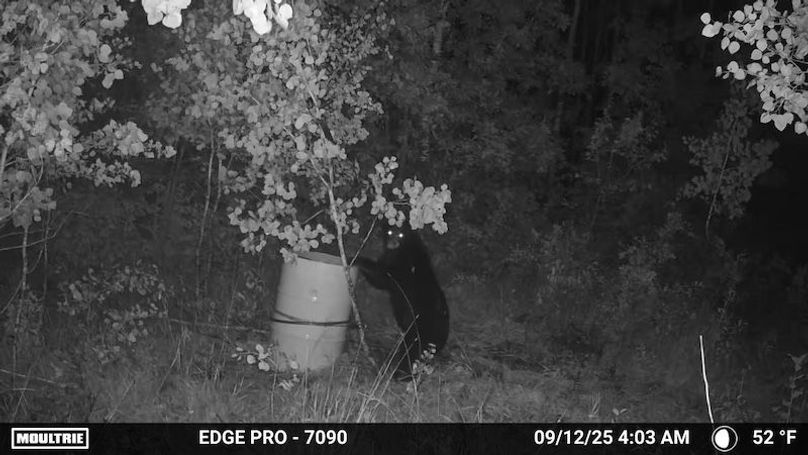 image639020099796071610