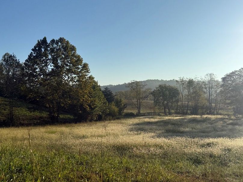 021 Open fields with gently rolling terrain offer excellent potential for livestock, hay production, or recreational use.