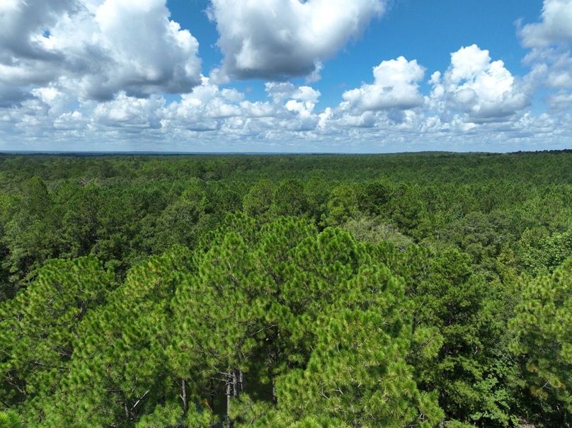 28048419-1A07-44F2-A382-1B2E27E3217F-2