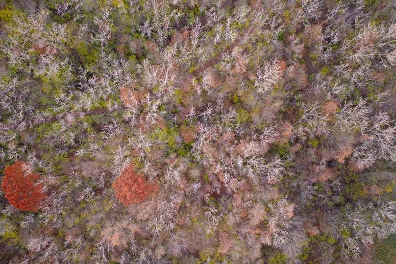 DJI_20251123164113_0452_D-HDR