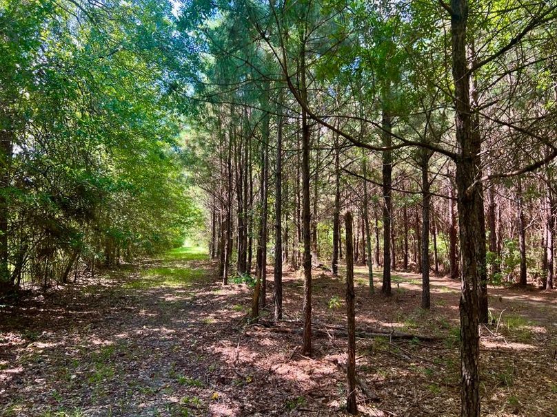 33BD0BA7-4BAB-4676-8549-8FAAE63EF0F9_1_201_a