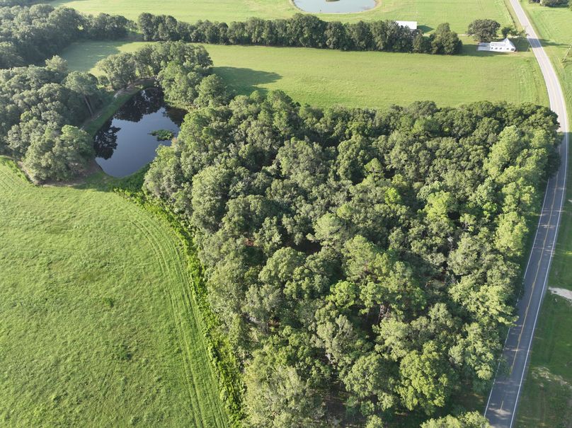 dji_fly_20230813_083334_517_1691930626818_photo