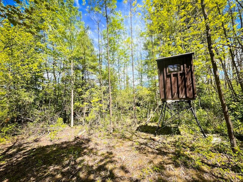 Tioga_28.322_VanNordstrand_Photos_26