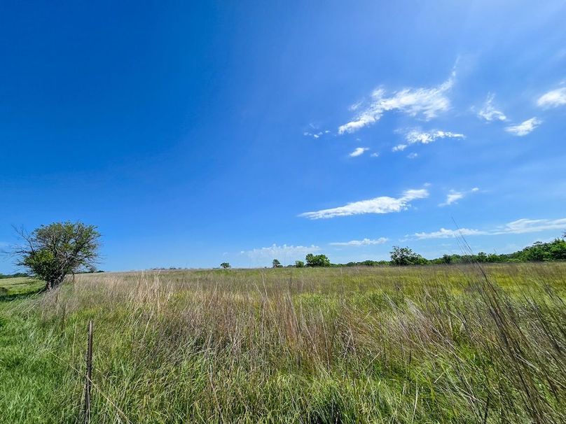 Copy of 20250729_111156