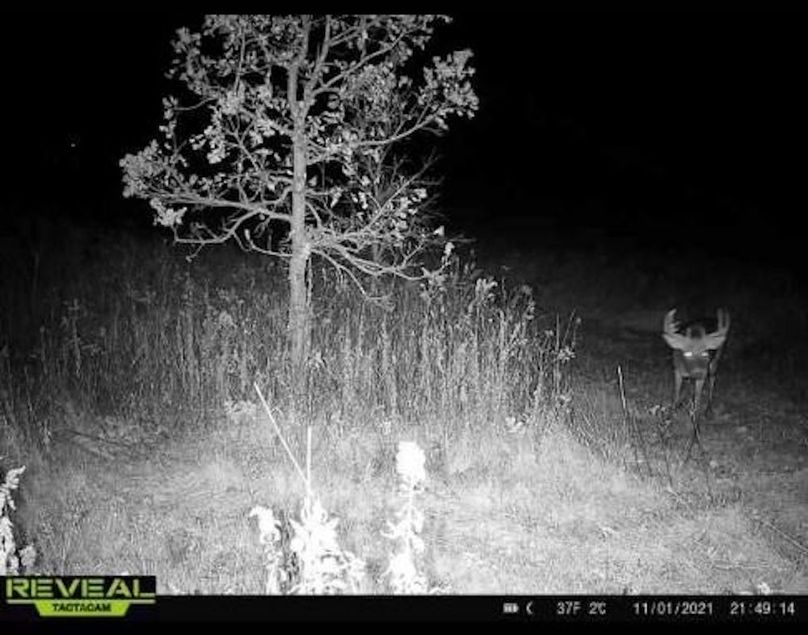 Resized_Screenshot_20240227-114532_Messages