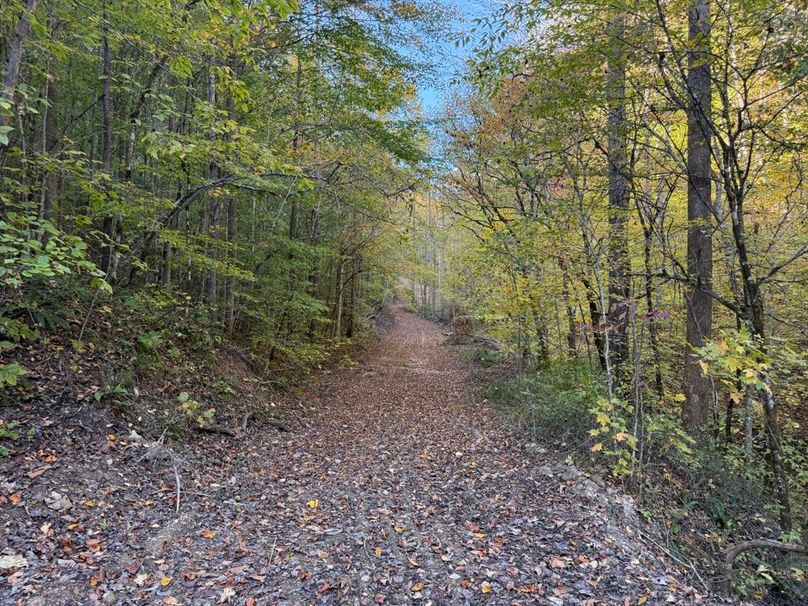 014 another view of the nice trail system leading to the upper reaches of the property to the north