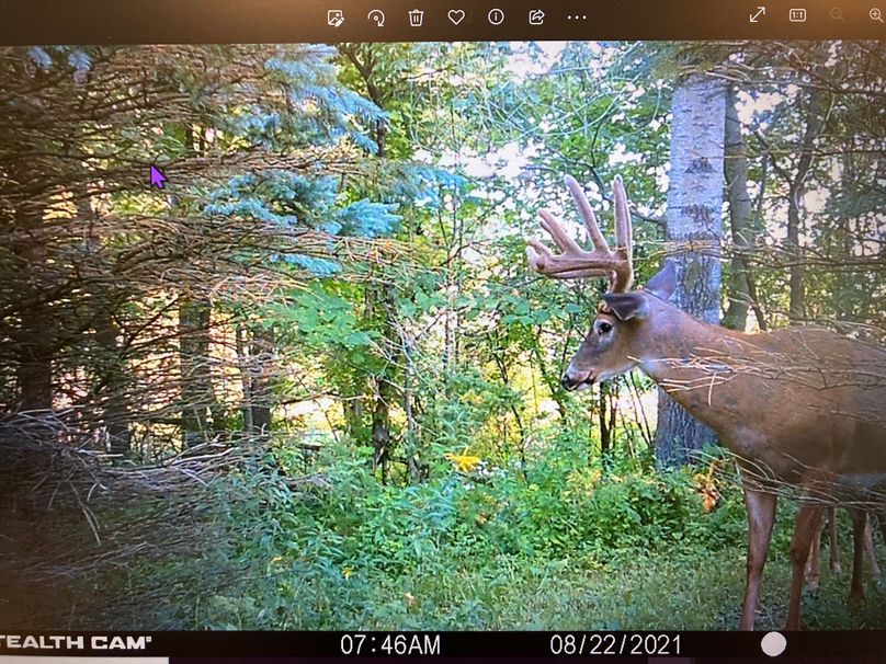 71008666236__8A3E1002-24DC-49F1-BAE0-0318335A1D9D