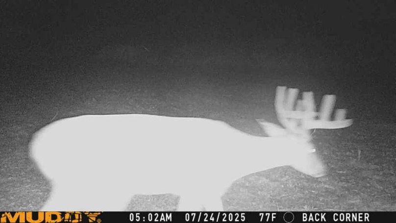 25072405022401002133